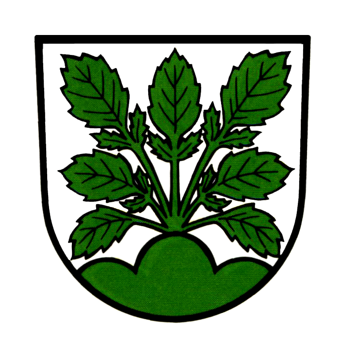 Wappen von Hasel